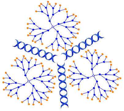 Dendrimers